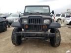 1992 Jeep Wrangler / YJ S