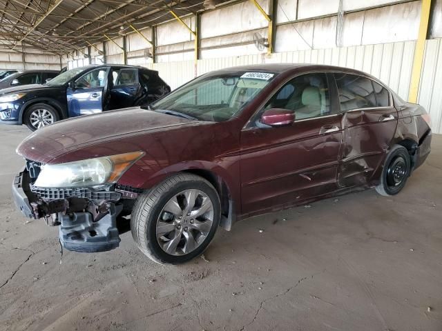 2009 Honda Accord EXL