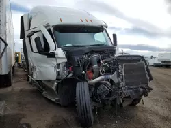 Salvage trucks for sale at Brighton, CO auction: 2024 Freightliner Cascadia 126