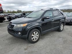 Salvage Cars with No Bids Yet For Sale at auction: 2011 KIA Sorento Base