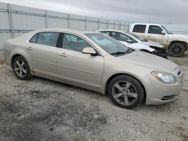 2009 Chevrolet Malibu 2LT