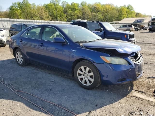 2009 Toyota Camry Hybrid