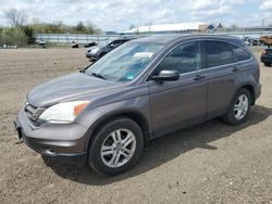 Salvage cars for sale from Copart Columbia Station, OH: 2010 Honda CR-V EX