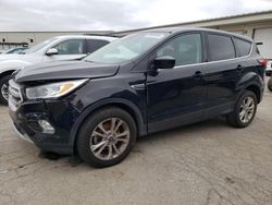Salvage cars for sale at Louisville, KY auction: 2019 Ford Escape SE