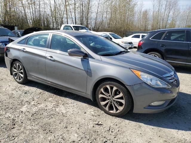 2013 Hyundai Sonata SE