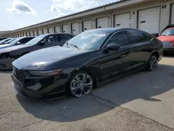 Salvage cars for sale at Lawrenceburg, KY auction: 2024 Honda Accord EX