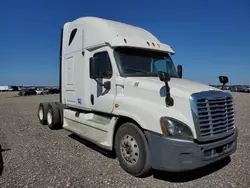 Salvage trucks for sale at Houston, TX auction: 2013 Freightliner Cascadia 125