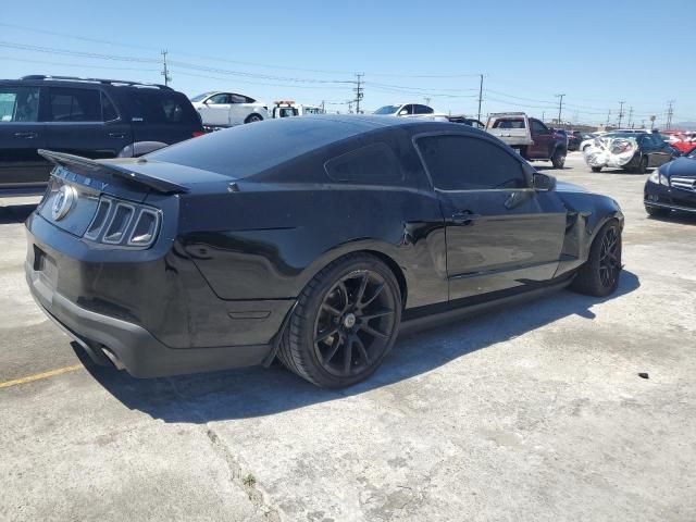 2011 Ford Mustang Shelby GT500