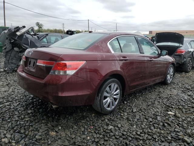 2011 Honda Accord EXL