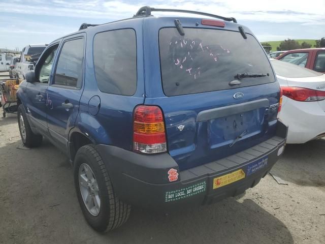 2007 Ford Escape XLT