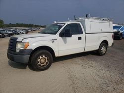 Salvage cars for sale from Copart Mocksville, NC: 2010 Ford F150