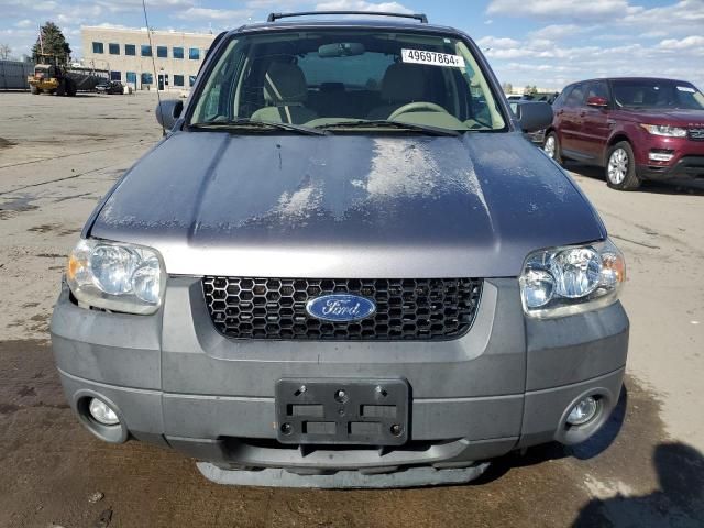 2007 Ford Escape XLT