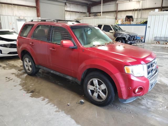 2010 Ford Escape Limited