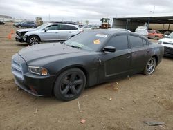Salvage cars for sale at Brighton, CO auction: 2014 Dodge Charger R/T