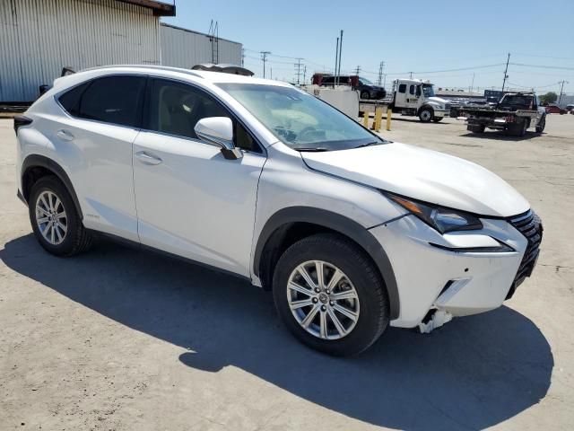 2019 Lexus NX 300H