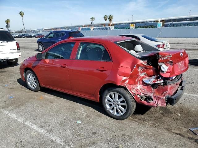 2009 Toyota Corolla Base