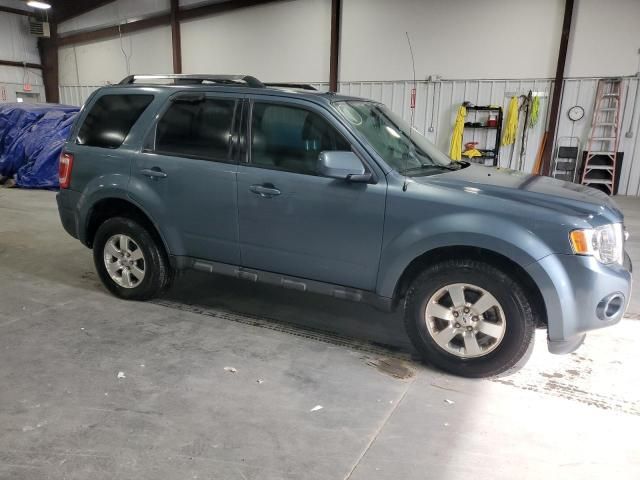 2011 Ford Escape Limited