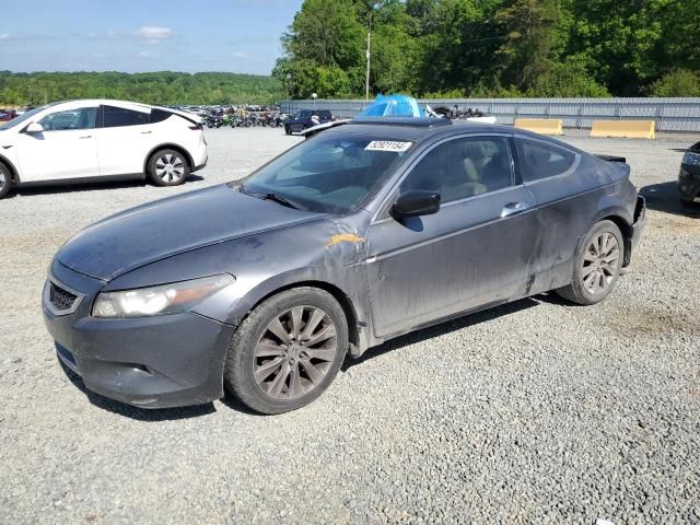 2008 Honda Accord EXL