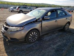 Salvage cars for sale at Chatham, VA auction: 2010 KIA Forte EX
