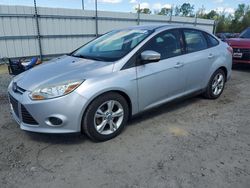 Salvage cars for sale at Lumberton, NC auction: 2013 Ford Focus SE