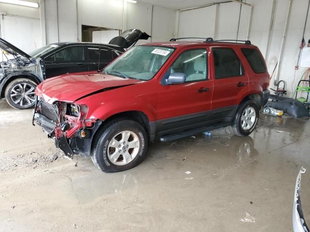 2005 Ford Escape XLT