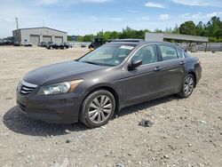 Salvage cars for sale at Memphis, TN auction: 2012 Honda Accord EXL