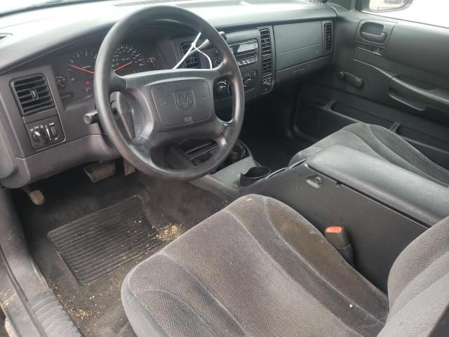 2003 Dodge Dakota SXT