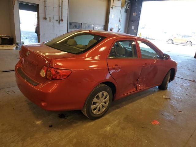 2010 Toyota Corolla Base