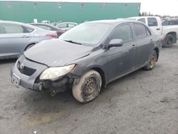 Salvage cars for sale from Copart Montreal Est, QC: 2010 Toyota Corolla Base