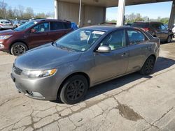 Salvage cars for sale at Fort Wayne, IN auction: 2011 KIA Forte EX
