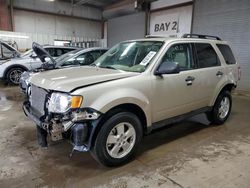 Salvage cars for sale at Elgin, IL auction: 2012 Ford Escape XLT