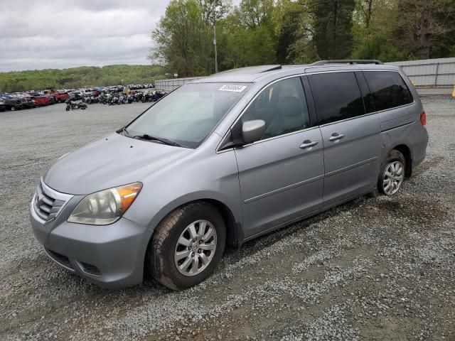 2010 Honda Odyssey EXL