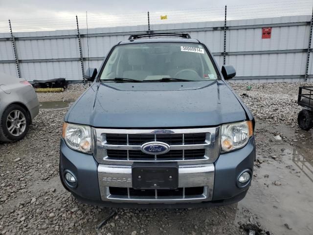 2010 Ford Escape Hybrid