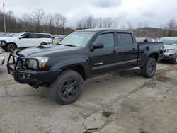 Toyota Tacoma salvage cars for sale: 2009 Toyota Tacoma Double Cab Long BED