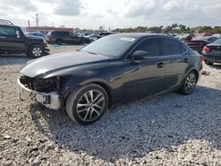 Salvage cars for sale from Copart Opa Locka, FL: 2020 Lexus IS 300