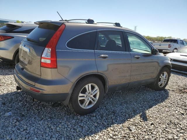 2010 Honda CR-V EXL