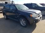 2008 Ford Escape HEV