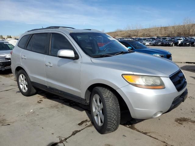 2007 Hyundai Santa FE SE