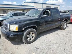 Dodge salvage cars for sale: 2005 Dodge Dakota Quad SLT