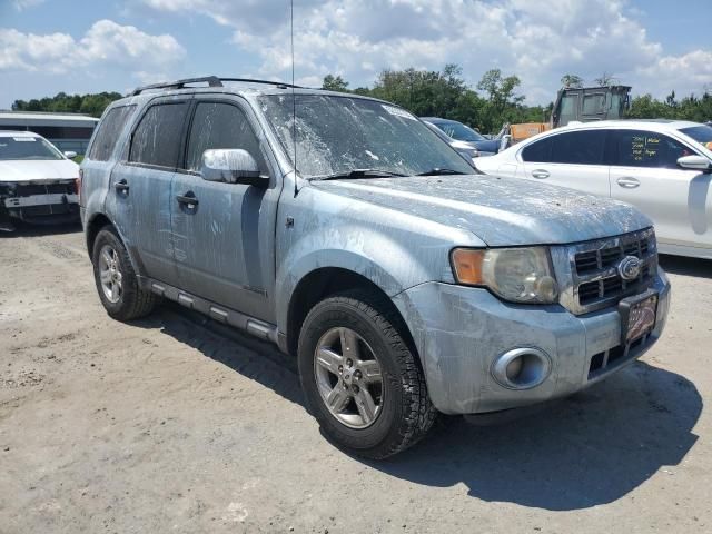 2008 Ford Escape HEV