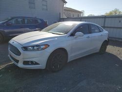 Salvage cars for sale at York Haven, PA auction: 2013 Ford Fusion SE
