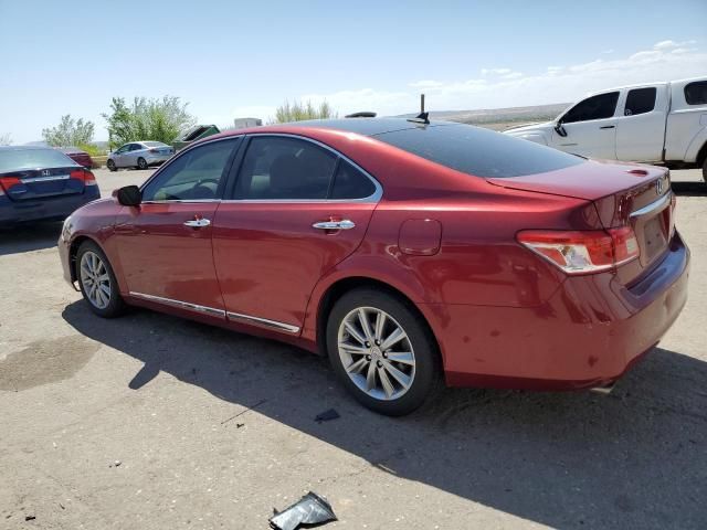 2011 Lexus ES 350