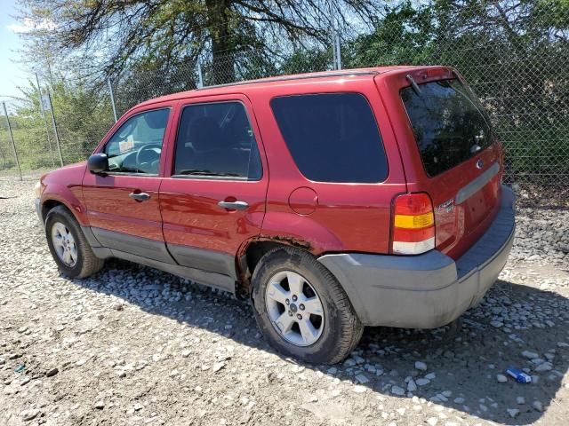 2005 Ford Escape XLT