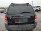 2007 Ford Escape XLT