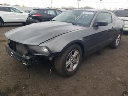Salvage cars for sale from Copart New Britain, CT: 2010 Ford Mustang