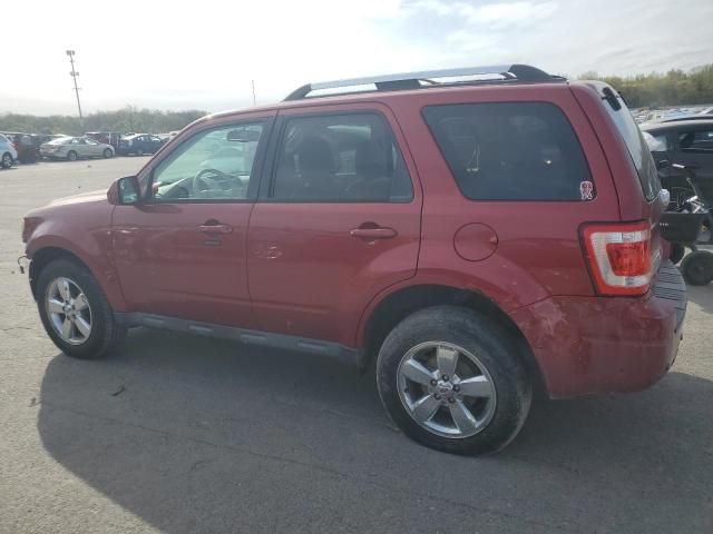 2012 Ford Escape Limited