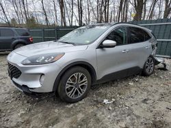 Salvage cars for sale at Candia, NH auction: 2020 Ford Escape SEL