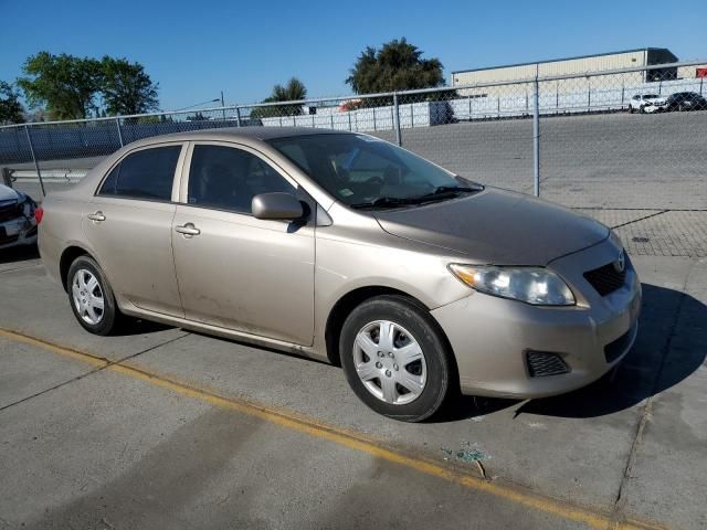 2010 Toyota Corolla Base