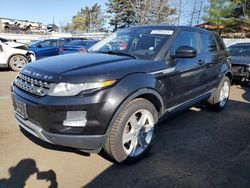 Salvage cars for sale at New Britain, CT auction: 2015 Land Rover Range Rover Evoque Pure Premium