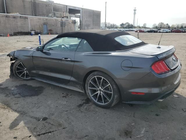 2019 Ford Mustang